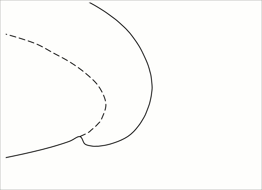 Icing Simulation
